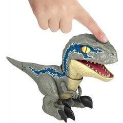 Dinozauras Velociraptor Jurassic World, GWY55 kaina ir informacija | Žaislai berniukams | pigu.lt