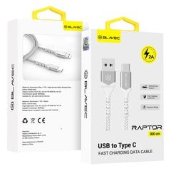 Blavec Cable Raptor braided - Type C to Type C - PD 60W 3A 0,5 metres (CRA-CC3WS05) white-silver цена и информация | Кабели для телефонов | pigu.lt