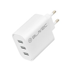 Blavec Wall charger BC3 цена и информация | Зарядные устройства для телефонов | pigu.lt