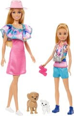 Dvi lėlės Barbie su priedais Mattel, HRM09, rožinė/mėlyna, 10 d. kaina ir informacija | Žaislai mergaitėms | pigu.lt
