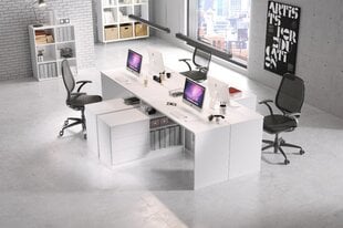 Письменный стол Teo белый цена и информация | Компьютерные, письменные столы | pigu.lt