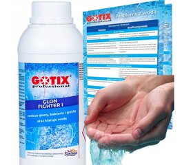 Средство против водорослей Liquid Gotix 1 л цена и информация | Химия для бассейнов | pigu.lt