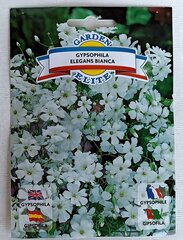 Grakščioji guboja balta Garden Elite kaina ir informacija | Gėlių sėklos | pigu.lt