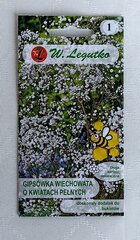 Гипсофила, многолетник W.Legutko цена и информация | Семена цветов | pigu.lt