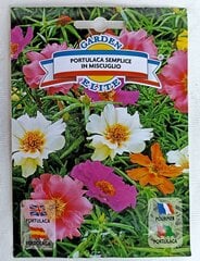 Портулак Garden Elite цена и информация | Семена цветов | pigu.lt