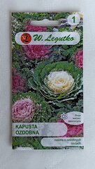 Капуста декоративная В. Легутко цена и информация | Семена цветов | pigu.lt