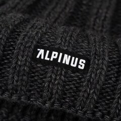 Žieminė kepurė Alpinus Nuorgam, pilka kaina ir informacija | Vyriški šalikai, kepurės, pirštinės | pigu.lt