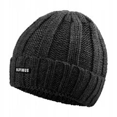 Žieminė kepurė Alpinus Nuorgam, pilka kaina ir informacija | Vyriški šalikai, kepurės, pirštinės | pigu.lt