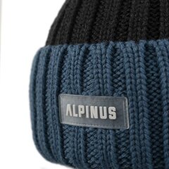 Žieminė kepurė Alpinus Matind, mėlyna kaina ir informacija | Vyriški šalikai, kepurės, pirštinės | pigu.lt