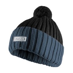 Žieminė kepurė Alpinus Matind, mėlyna kaina ir informacija | Vyriški šalikai, kepurės, pirštinės | pigu.lt