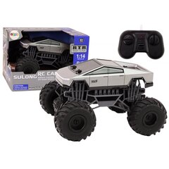 Nuotoliniu būdu valdomas automobilis Off-Road Remote Controlled RC Car 1:14 Truck Gray цена и информация | Игрушки для мальчиков | pigu.lt