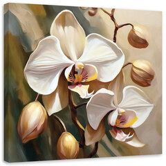Paveikslas Orchidėja kaina ir informacija | Reprodukcijos, paveikslai | pigu.lt