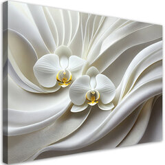 Paveikslas Balta orchidėja kaina ir informacija | Reprodukcijos, paveikslai | pigu.lt