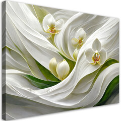 Paveikslas Balta orchidėja kaina ir informacija | Reprodukcijos, paveikslai | pigu.lt
