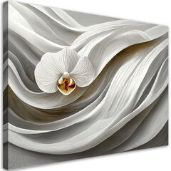 Paveikslas Baltoji orchidėja kaina ir informacija | Reprodukcijos, paveikslai | pigu.lt