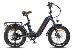 Электровелосипед Fafrees F20 Master, 20", серый, 500Вт, 22,5Ач SAMSUNG цена и информация | Электровелосипеды | pigu.lt