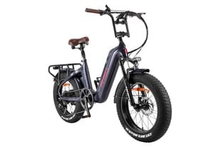 Elektrinis dviratis Fafrees F20 Master 20", pilkas kaina ir informacija | Elektriniai dviračiai | pigu.lt