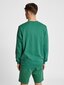 Hummel džemperis vyrams, žalias цена и информация | Džemperiai vyrams | pigu.lt