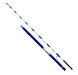 Удилище для морской воды SFT Deep Sea Jig 2,10 м 300-1000 г 2 сек. цена и информация | Удочки, подставки и держатели | pigu.lt