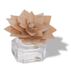 Товар с повреждённой упаковкой. Аромат для дома Durance Cotton Flower деревянный цветок, 100 мл цена и информация | Духи и косметика с поврежденной упаковкой | pigu.lt