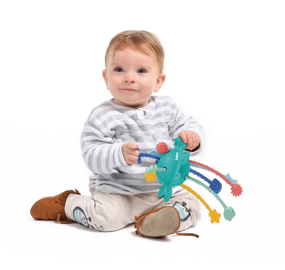 Ištraukiamas žaislas Ludi Zippy kaina ir informacija | Žaislai kūdikiams | pigu.lt