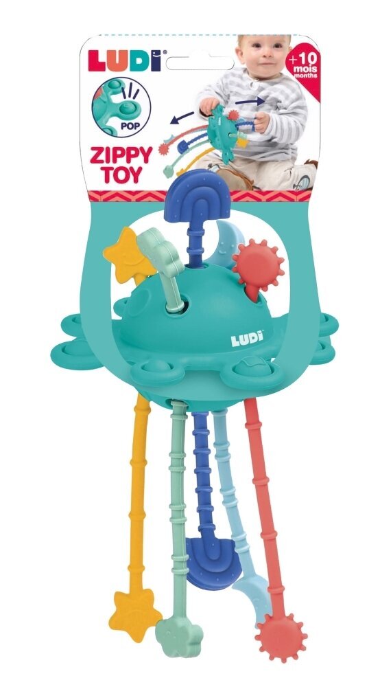 Ištraukiamas žaislas Ludi Zippy kaina ir informacija | Žaislai kūdikiams | pigu.lt