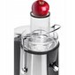 Juicer Clatronic AE 3532 1000 W kaina ir informacija | Sulčiaspaudės | pigu.lt