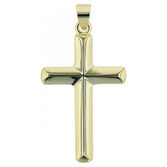 Позолоченный серебряный крестик "Vireo" цена и информация | Мужские украшения | pigu.lt