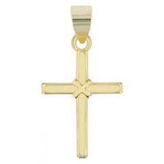 Позолоченный серебряный крестик Shaghafi "Servius" цена и информация | Мужские украшения | pigu.lt