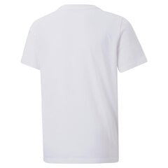 Футболка для мальчиков Puma 84728152, белая цена и информация | Рубашки для мальчиков | pigu.lt