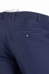 Брюки Frappoli 1355ALFREDONAVY-52 цена и информация | Мужские брюки | pigu.lt