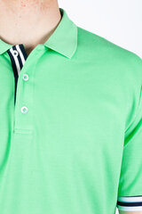 Рубашкa поло Xint 502134YESIL-S цена и информация | Мужские футболки | pigu.lt