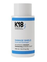 K18 - pH apsaugantis plaukų šampūnas DAMAGE SHIELD, 250 ml kaina ir informacija | Šampūnai | pigu.lt