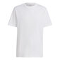 Marškinėliai vyrams Adidas, balti kaina ir informacija | Vyriški marškinėliai | pigu.lt