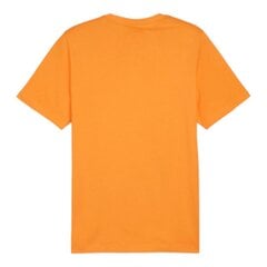 Marškinėliai vyrams Puma 96725, oranžiniai цена и информация | Мужские футболки | pigu.lt