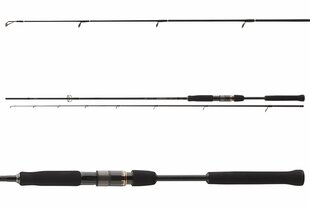 Spiningas Daiwa Airity Jigger, 2,4 m, 7-28 g kaina ir informacija | Meškerės, meškerių laikikliai, stovai | pigu.lt