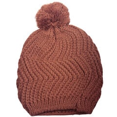 Moteriška žieminė kepurė, 1 vnt. kaina ir informacija | Kepurės moterims | pigu.lt