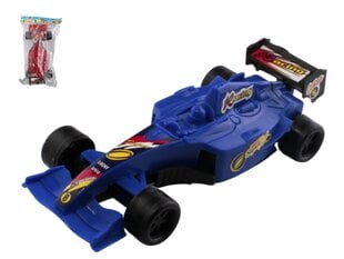 Žaislas lenktyninis automobilis, 1 vnt. kaina ir informacija | Žaislai berniukams | pigu.lt