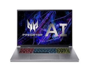 Acer Predator Triton PTN16-51-701G (NH.QPNEL.001) цена и информация | Ноутбуки | pigu.lt