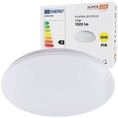 Светодиодный потолочный светильник 12Вт цена и информация | Потолочные светильники | pigu.lt