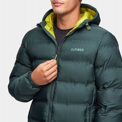 Striukė vyrams Alpinus Felskinn, žalia цена и информация | Мужские куртки | pigu.lt