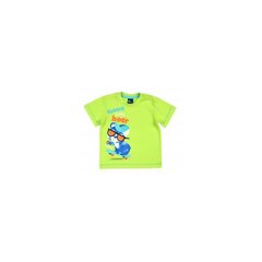 Marškinėliai berniukams G.T., žali kaina ir informacija | Marškinėliai berniukams | pigu.lt