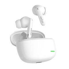 Earfun TW203W White kaina ir informacija | Ausinės | pigu.lt