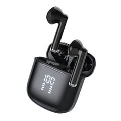 Earfun TW204B Black kaina ir informacija | Ausinės | pigu.lt