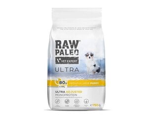 Raw Paleo Ultra Turkey Medium&Large Puppy vidutinių ir didelių veislių šuniukams su kalakutiena, 750 g kaina ir informacija | Sausas maistas šunims | pigu.lt