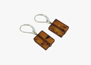 Серебряные серьги для женщин с янтарными оранжевыми бусинами цена и информация | Серьги | pigu.lt