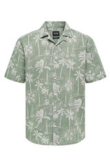 Льняная рубашка Only &amp; Sons 22028423SWAMP-L цена и информация | Рубашка мужская | pigu.lt