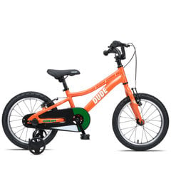 Vaikiškas dviratis GoKidy 16" Dude (DUD.1601), oranžinis kaina ir informacija | Dviračiai | pigu.lt