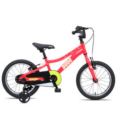 Vaikiškas dviratis GoKidy 16" Dude (DUD.1603), raudonas kaina ir informacija | Dviračiai | pigu.lt