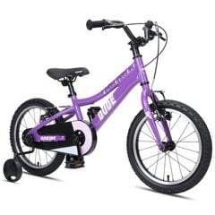 Vaikiškas dviratis GoKidy 16" Dude (DUD.1604), violetinis kaina ir informacija | Dviračiai | pigu.lt